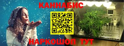 молекула духа Будённовск