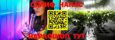 молекула духа Будённовск