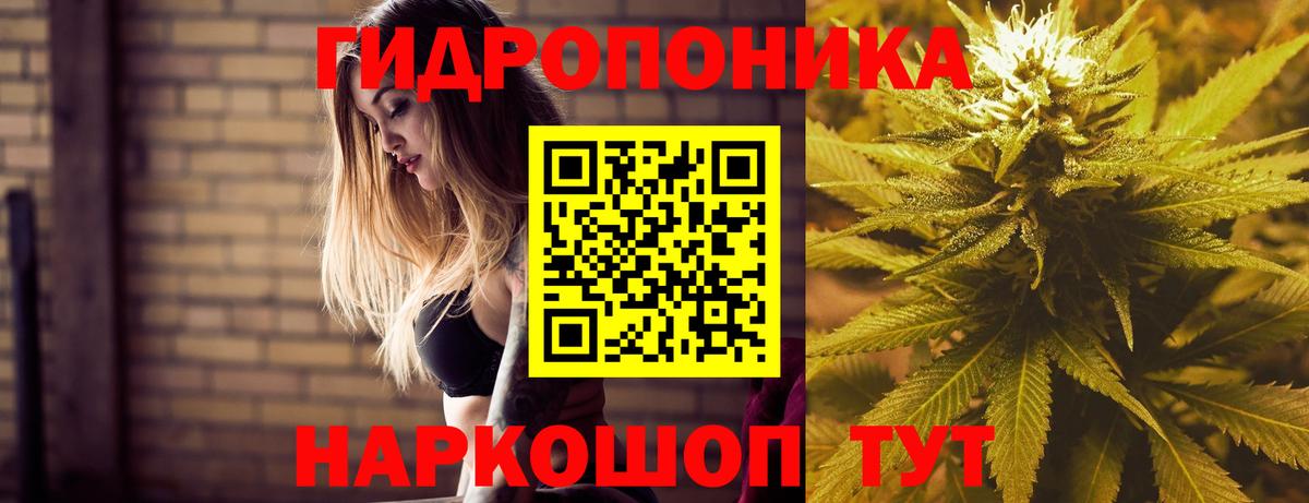 Конопля индика Курган